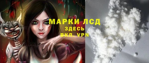 прущие грибы Арсеньев