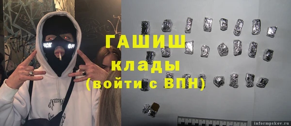 хмурый Аркадак