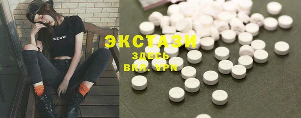 хмурый Аркадак
