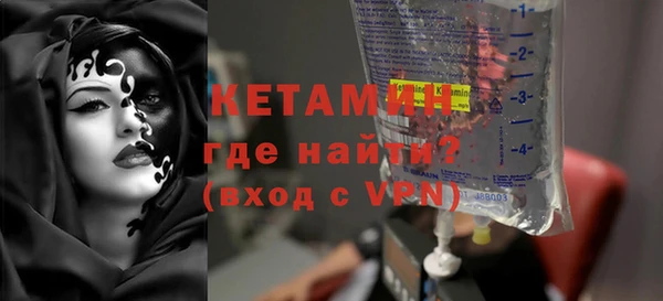 хмурый Аркадак