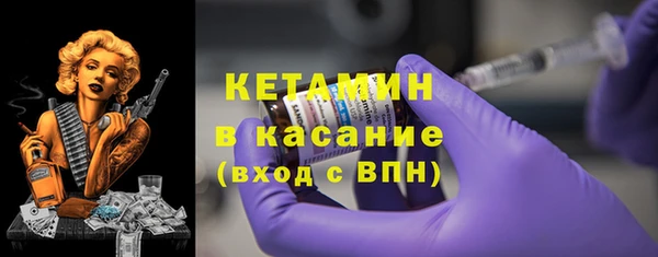 хмурый Аркадак