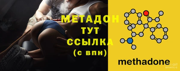 прущие грибы Арсеньев