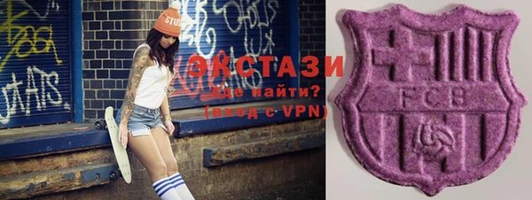 хмурый Аркадак