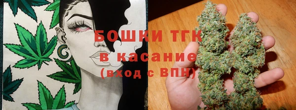 хмурый Аркадак