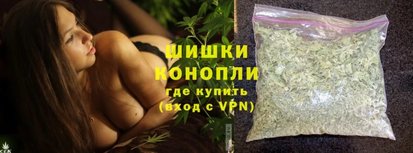прущие грибы Арсеньев