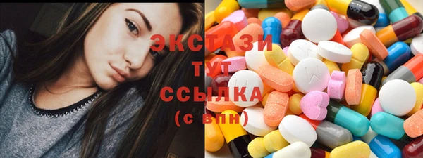 хмурый Аркадак