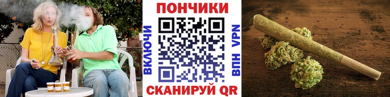 Конопля план  как найти   Краснодар 